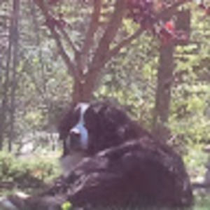 Meet your Posher, Lynne